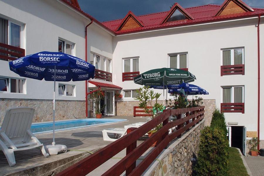 Hotel Domnitei Calimanesti Exterior photo